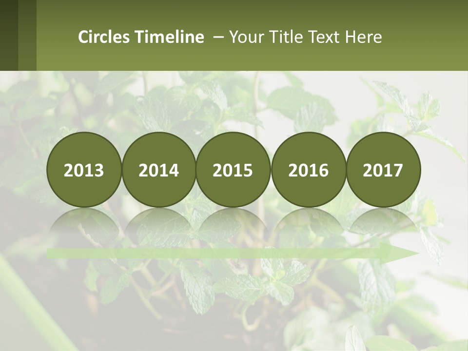 Black Cityscape Tall PowerPoint Template