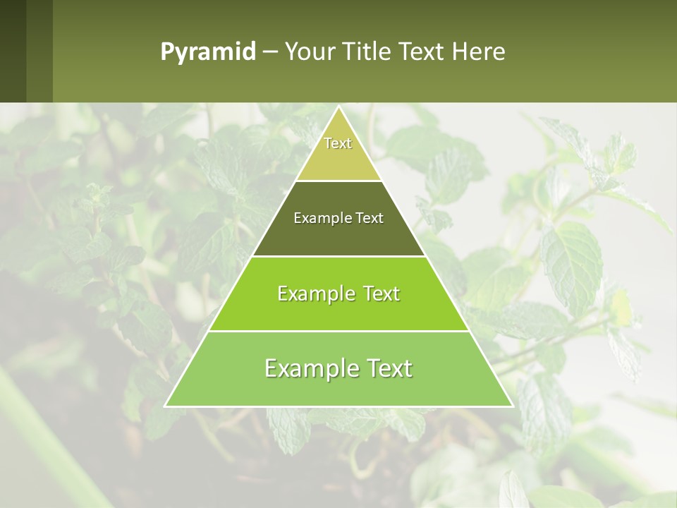 Black Cityscape Tall PowerPoint Template