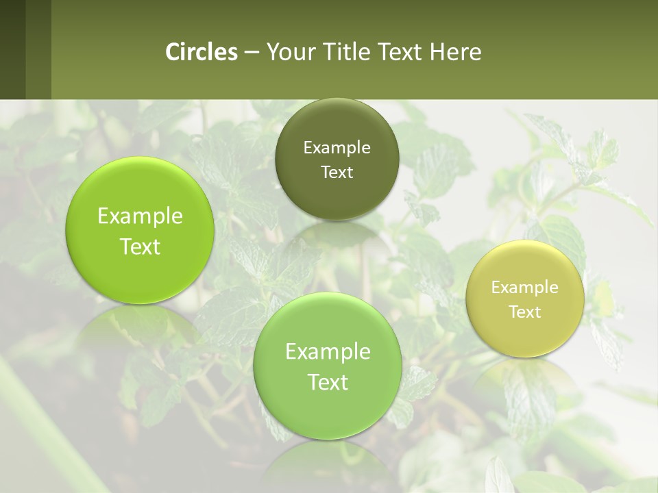 Black Cityscape Tall PowerPoint Template
