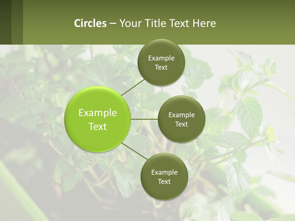 Black Cityscape Tall PowerPoint Template