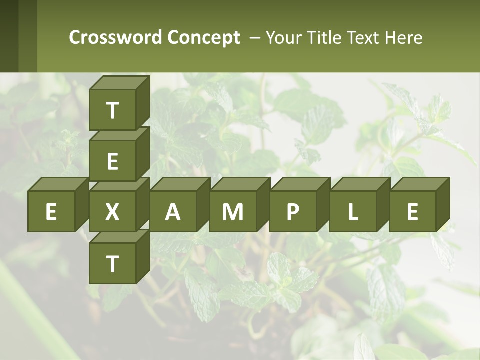 Black Cityscape Tall PowerPoint Template