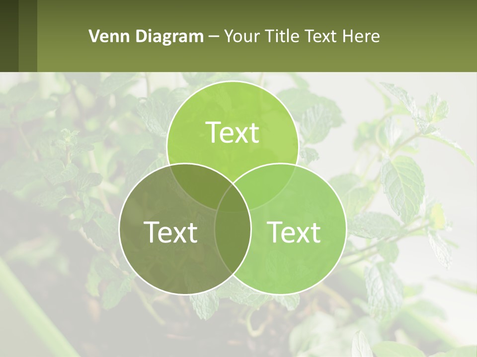 Black Cityscape Tall PowerPoint Template