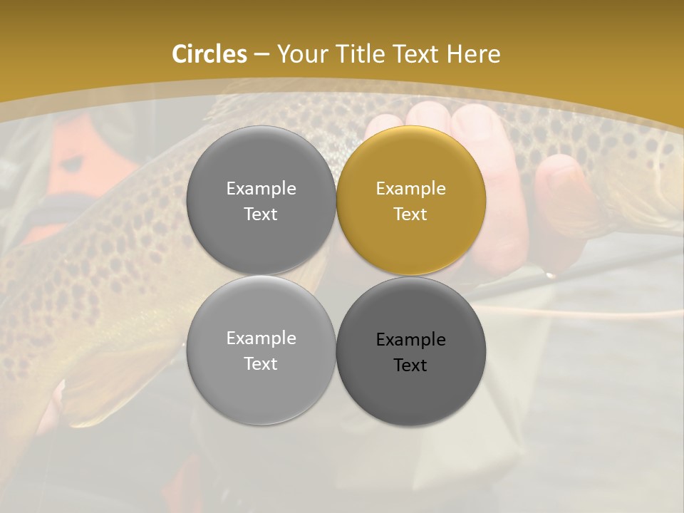 Modern Graphic Ball PowerPoint Template