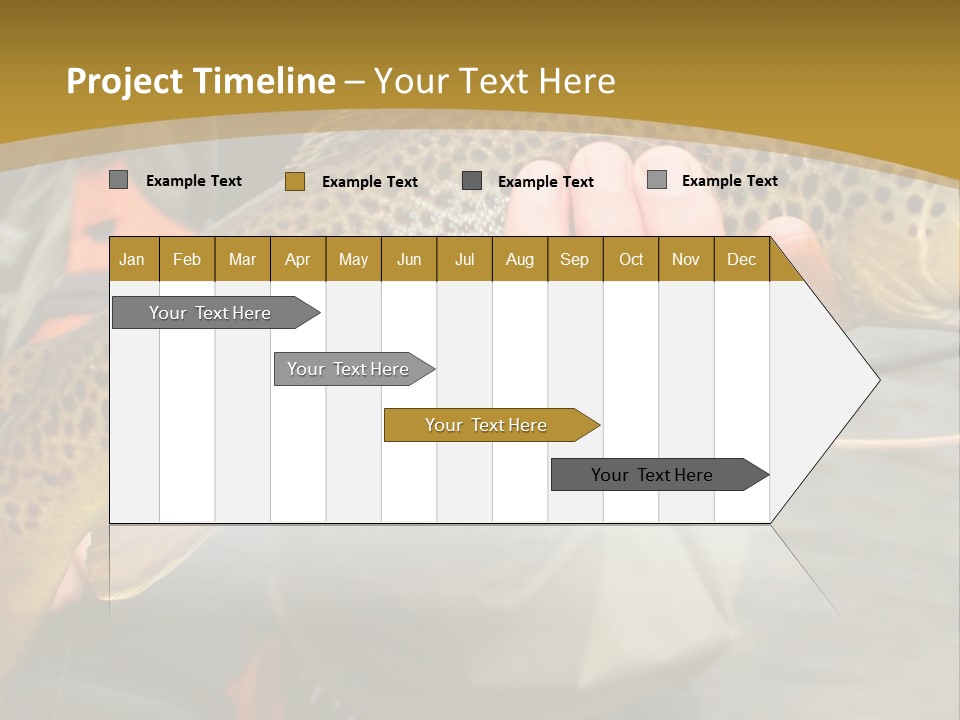 Modern Graphic Ball PowerPoint Template