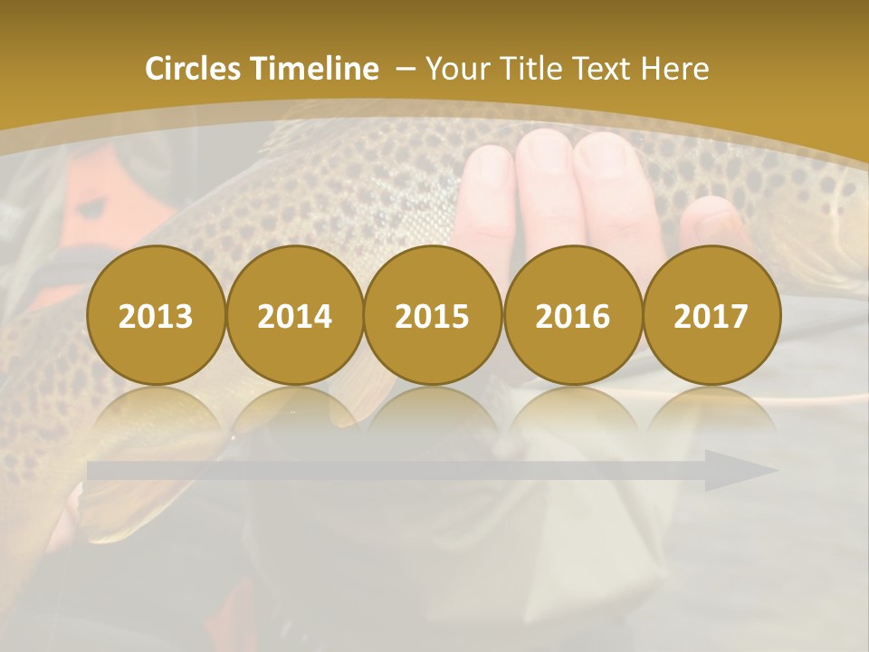 Modern Graphic Ball PowerPoint Template