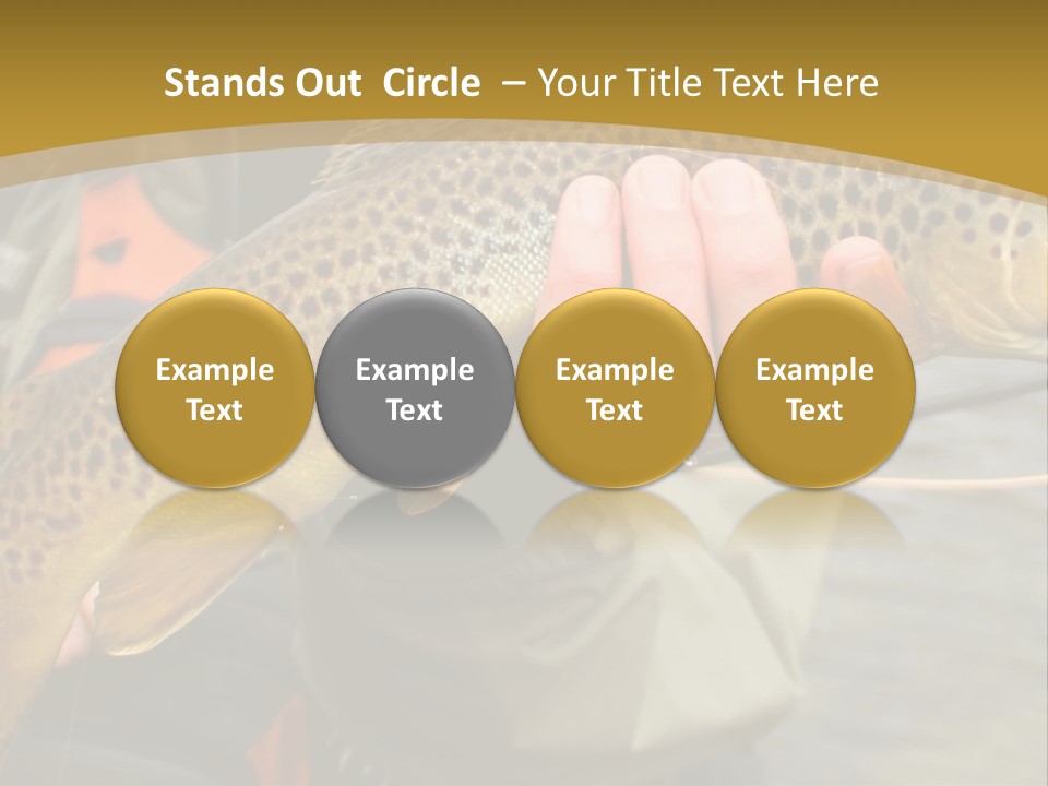 Modern Graphic Ball PowerPoint Template