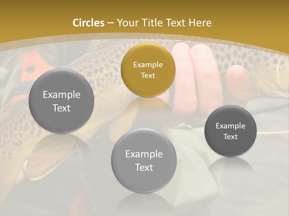 Modern Graphic Ball PowerPoint Template