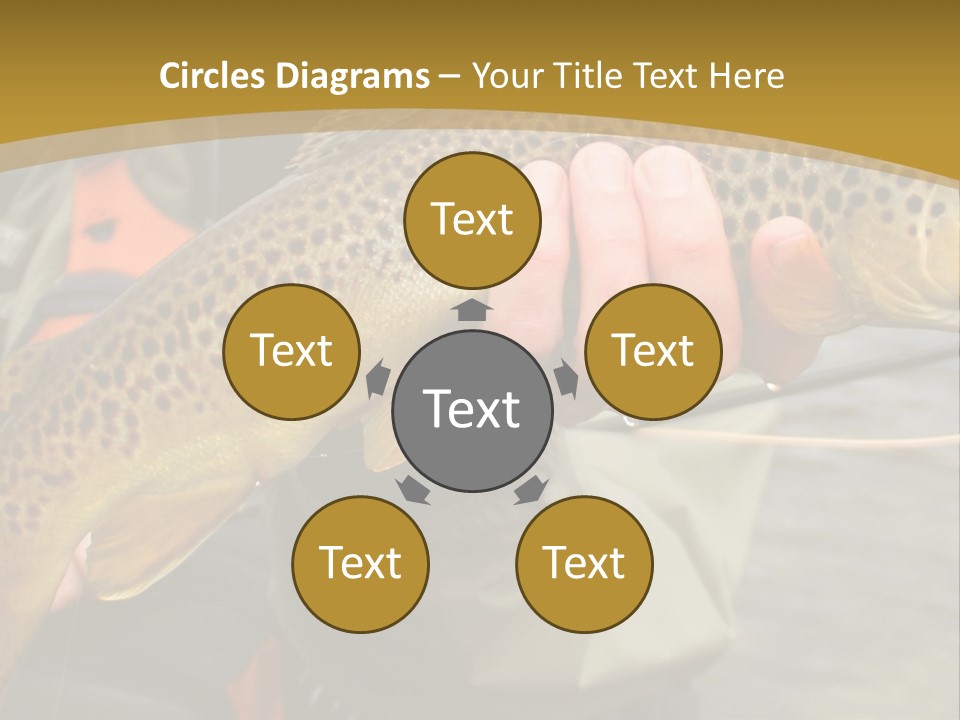 Modern Graphic Ball PowerPoint Template