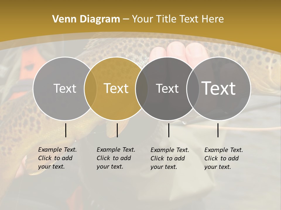 Modern Graphic Ball PowerPoint Template