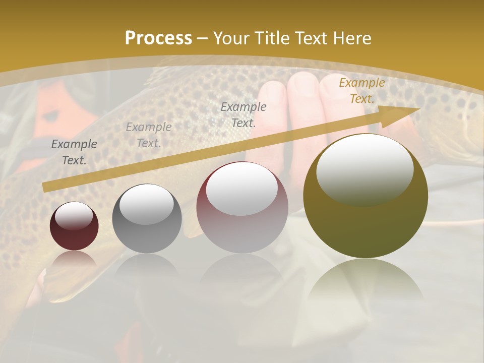 Modern Graphic Ball PowerPoint Template