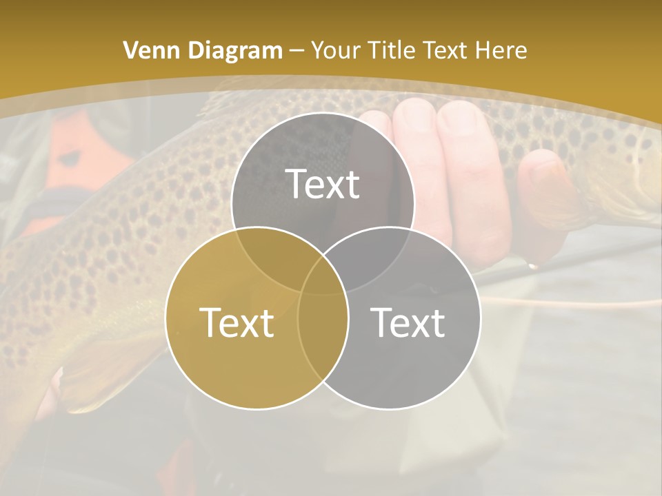 Modern Graphic Ball PowerPoint Template