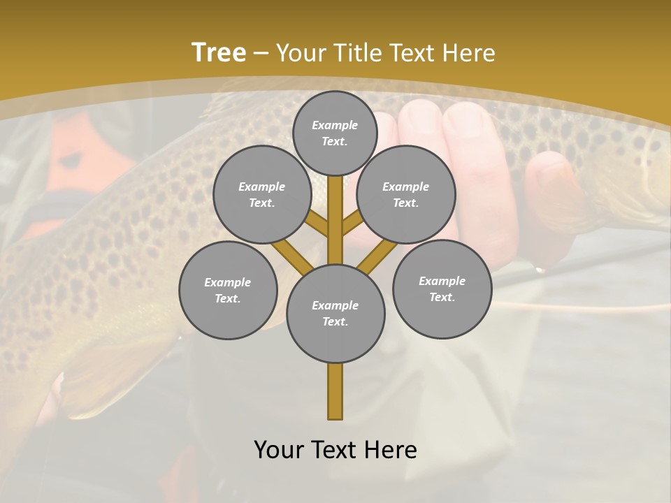 Modern Graphic Ball PowerPoint Template