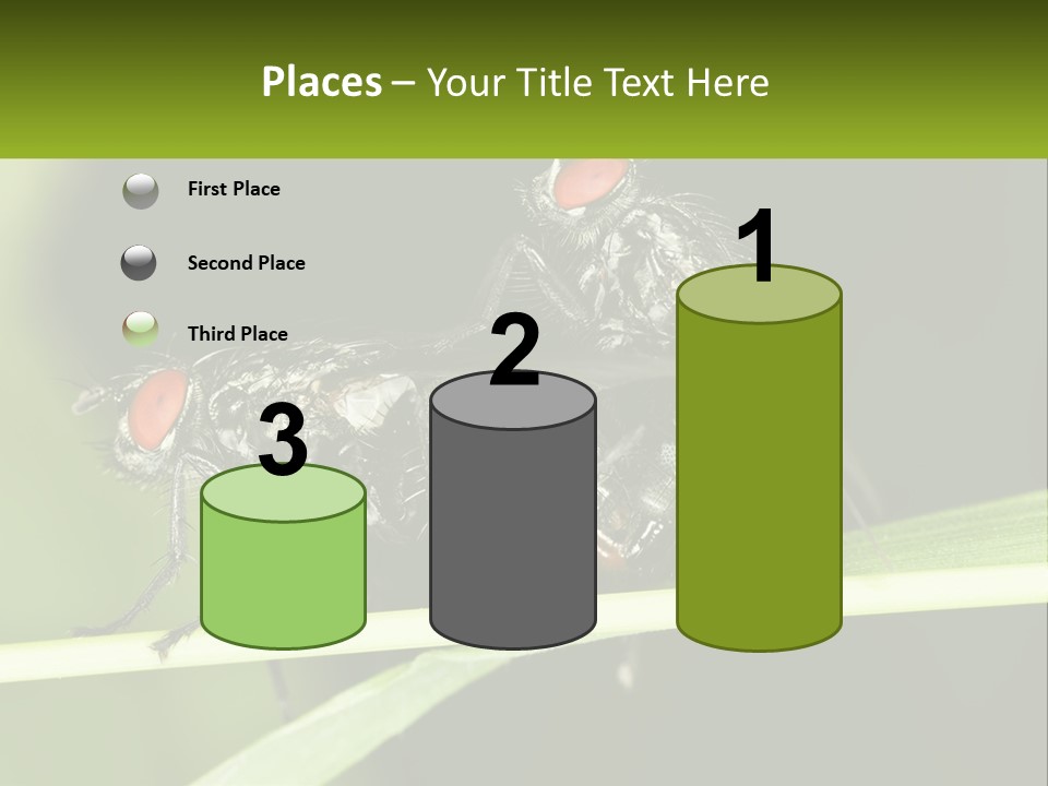 Building Architecture Architect PowerPoint Template