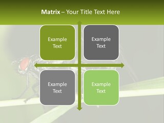Building Architecture Architect PowerPoint Template