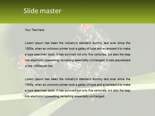 Building Architecture Architect PowerPoint Template