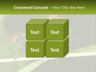 Building Architecture Architect PowerPoint Template
