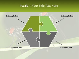 Building Architecture Architect PowerPoint Template