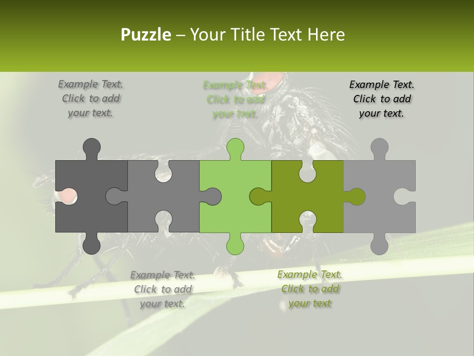 Building Architecture Architect PowerPoint Template