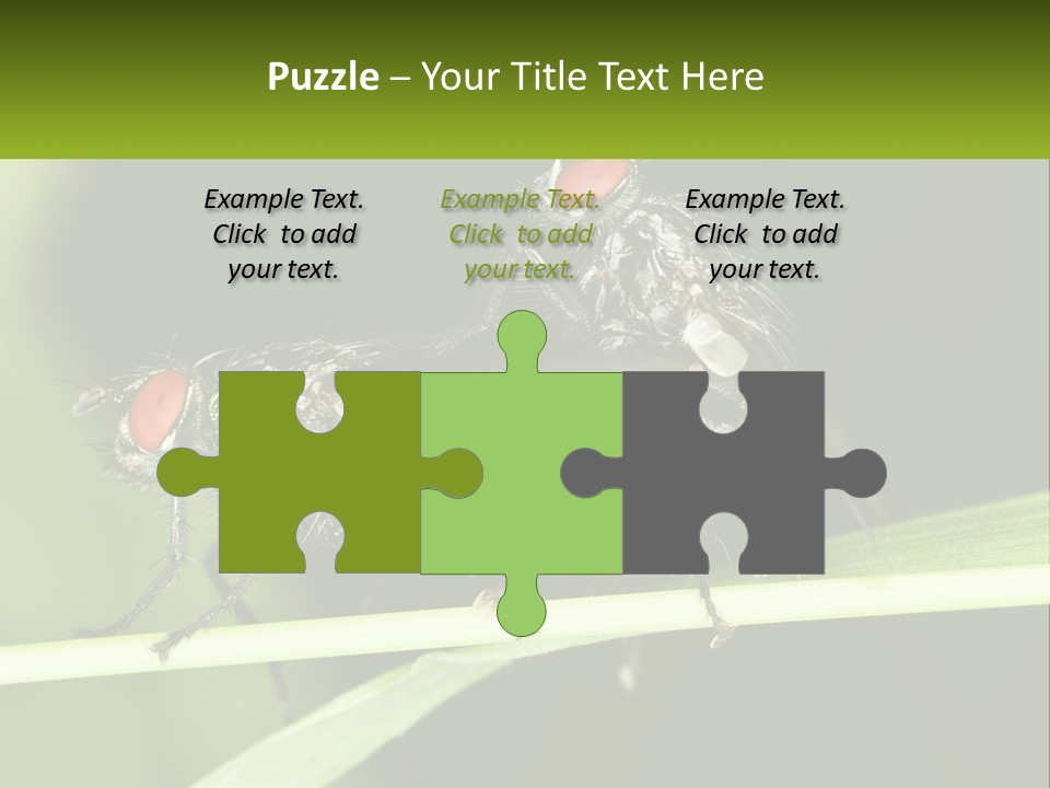 Building Architecture Architect PowerPoint Template