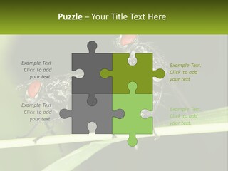 Building Architecture Architect PowerPoint Template