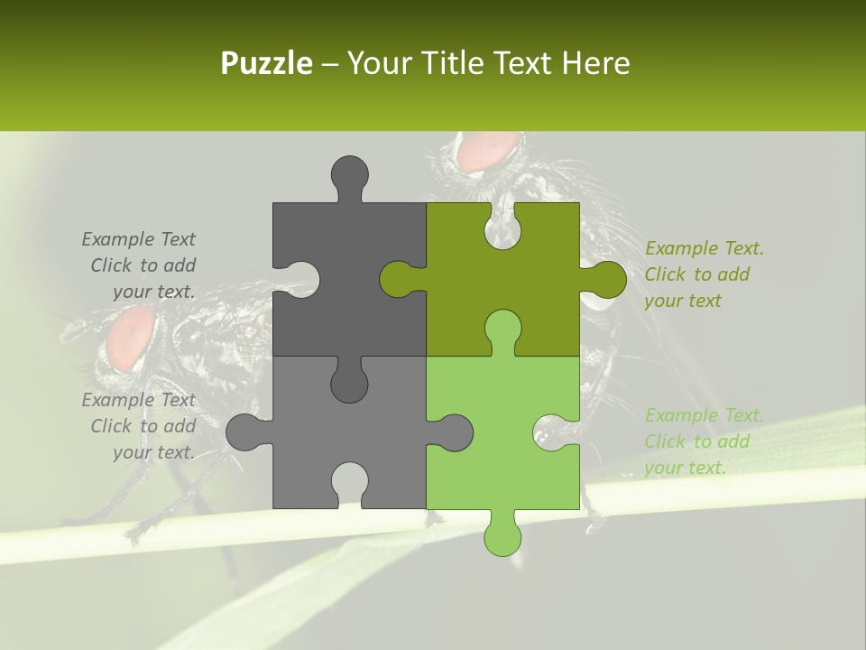Building Architecture Architect PowerPoint Template