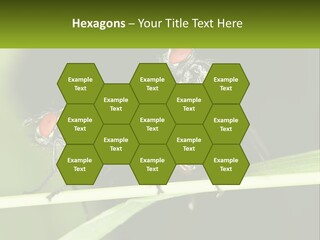 Building Architecture Architect PowerPoint Template
