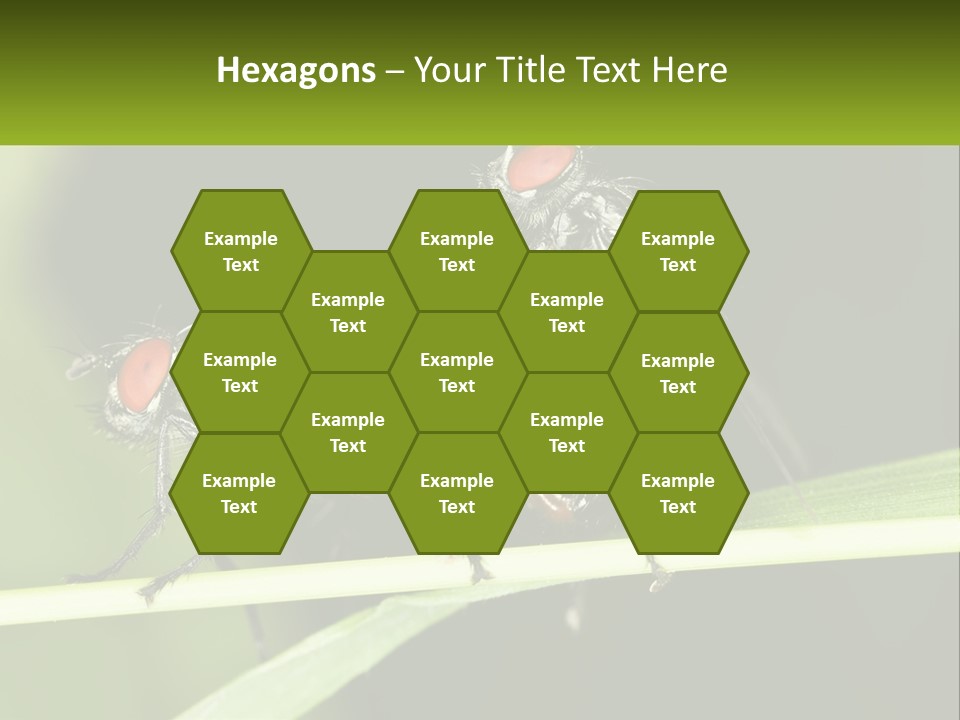 Building Architecture Architect PowerPoint Template