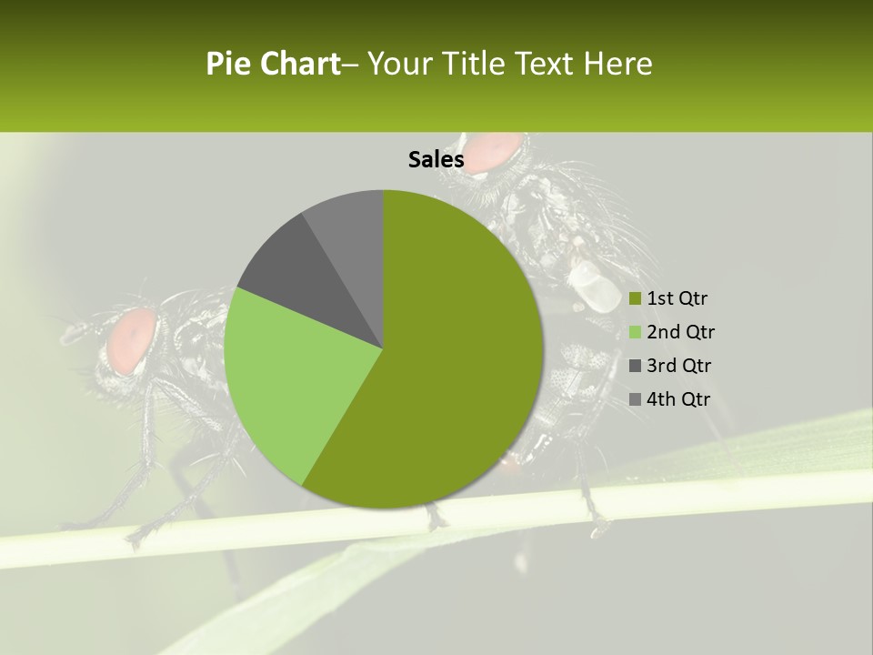 Building Architecture Architect PowerPoint Template