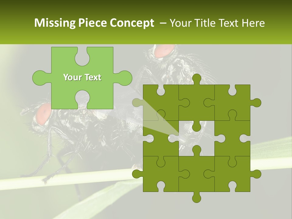 Building Architecture Architect PowerPoint Template