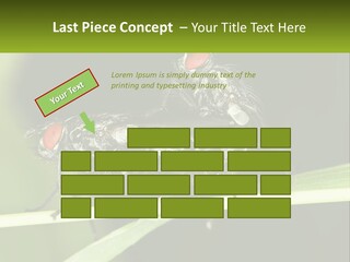 Building Architecture Architect PowerPoint Template