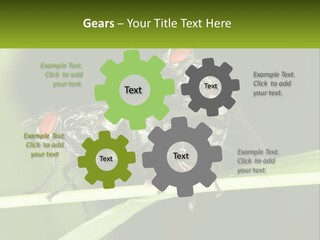 Building Architecture Architect PowerPoint Template