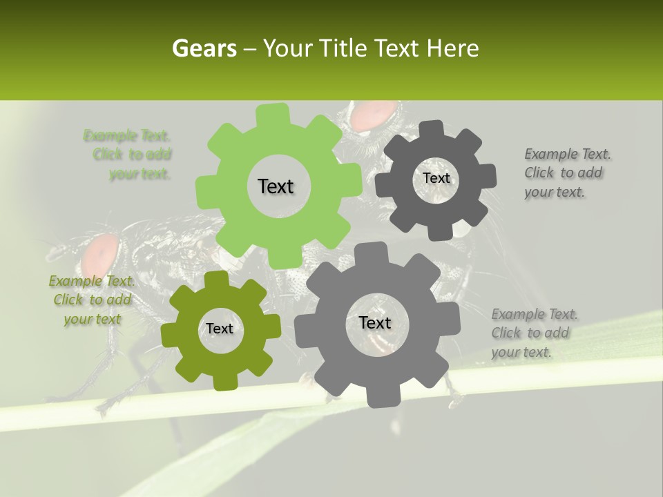 Building Architecture Architect PowerPoint Template