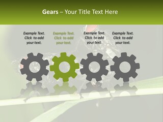 Building Architecture Architect PowerPoint Template