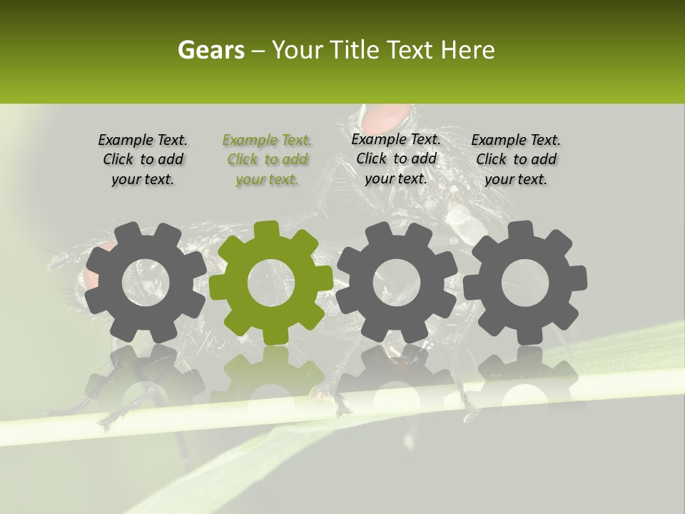 Building Architecture Architect PowerPoint Template