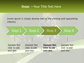 Building Architecture Architect PowerPoint Template