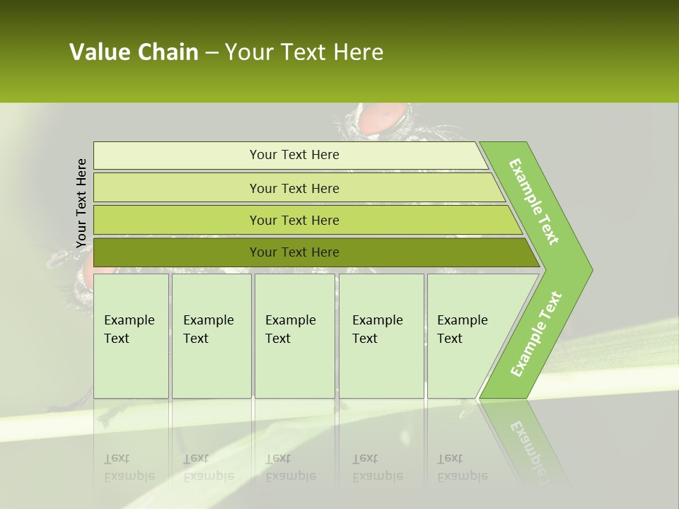 Building Architecture Architect PowerPoint Template
