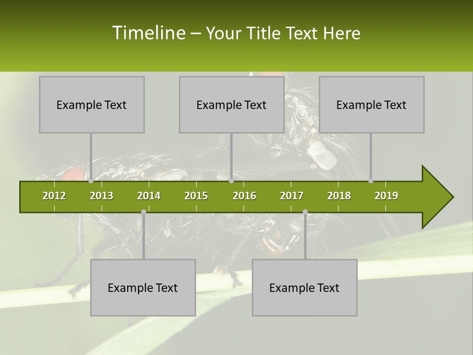 Building Architecture Architect PowerPoint Template