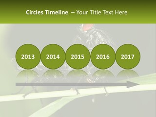 Building Architecture Architect PowerPoint Template