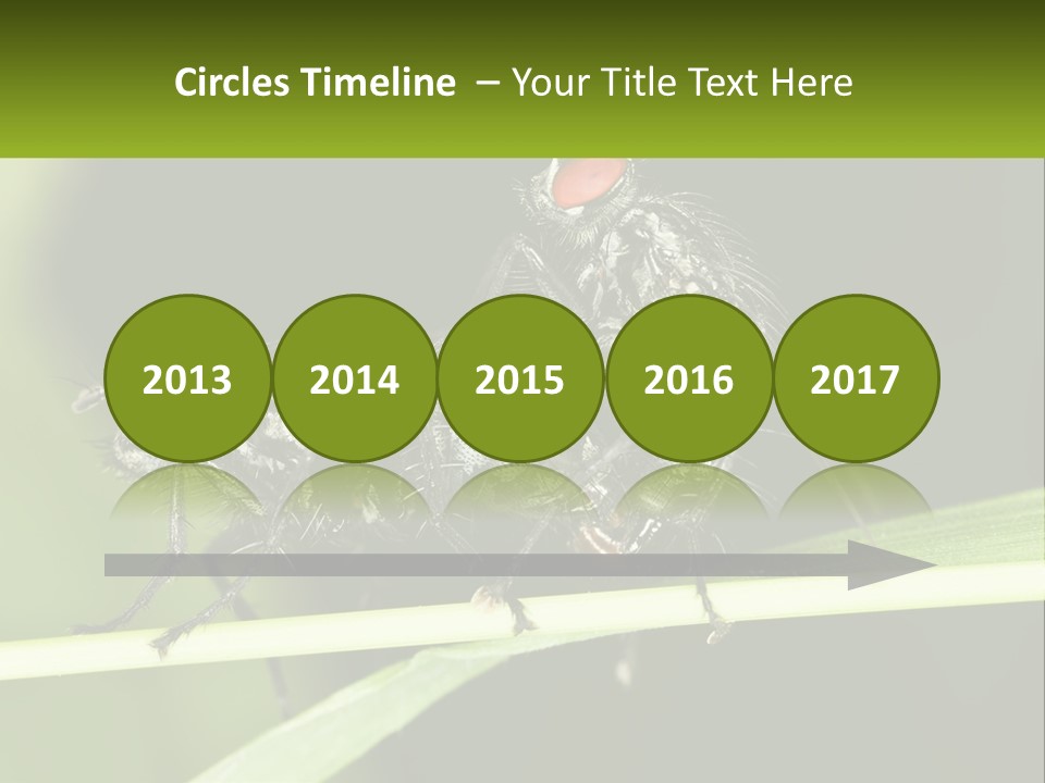 Building Architecture Architect PowerPoint Template