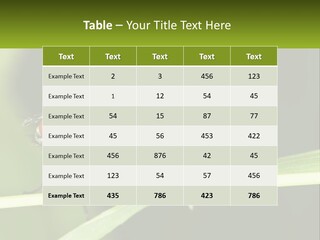 Building Architecture Architect PowerPoint Template