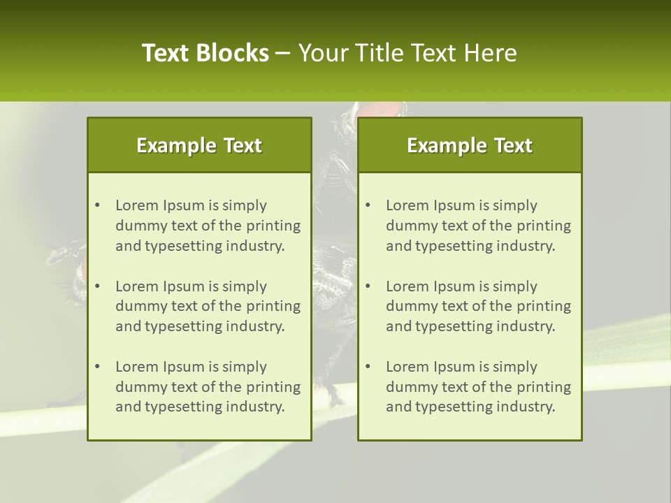 Building Architecture Architect PowerPoint Template