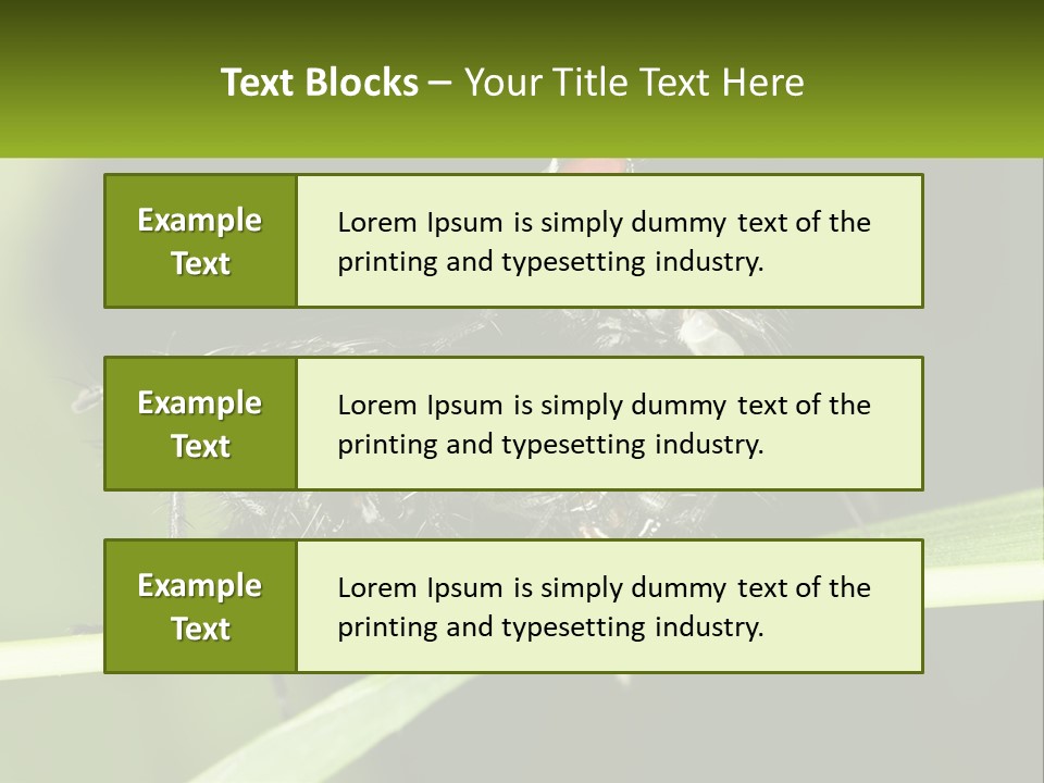 Building Architecture Architect PowerPoint Template