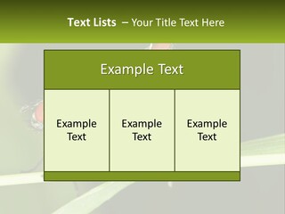 Building Architecture Architect PowerPoint Template