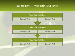 Building Architecture Architect PowerPoint Template