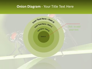 Building Architecture Architect PowerPoint Template