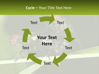 Building Architecture Architect PowerPoint Template