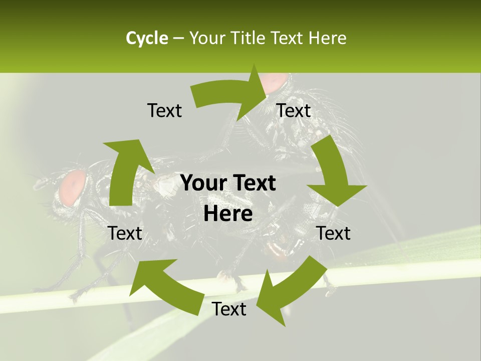 Building Architecture Architect PowerPoint Template