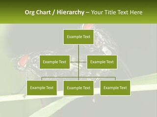 Building Architecture Architect PowerPoint Template