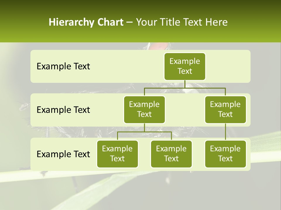Building Architecture Architect PowerPoint Template