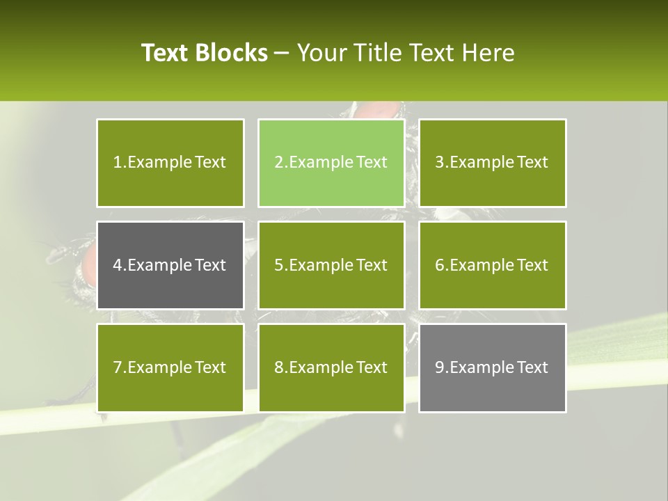Building Architecture Architect PowerPoint Template
